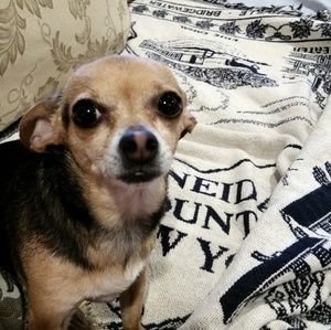 Meet your Posher, Gloria